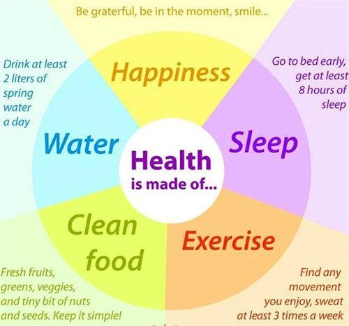 Health Doughnut 
